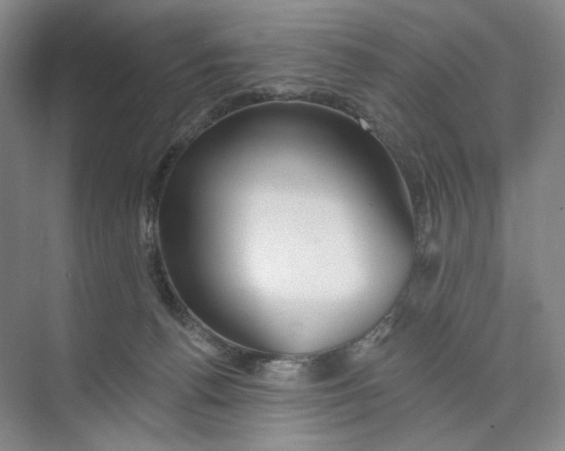 X0000073950176200609111659