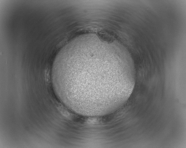 X0000073950177200609111659