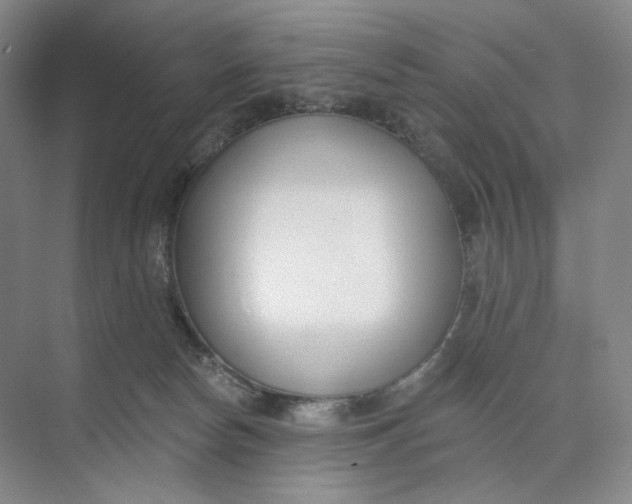 X0000073950178200609111659