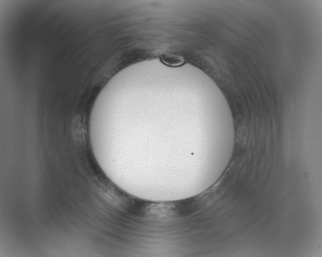 X0000073950179200609111659