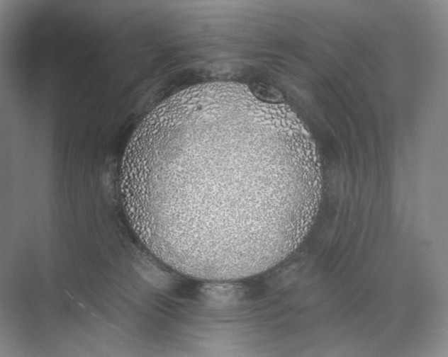 X0000073950181200609111659