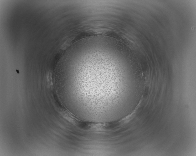 X0000073950182200609111659