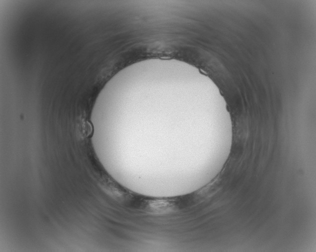 X0000073950183200609111659