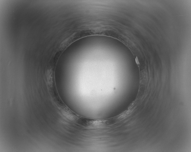 X0000073950184200609111659