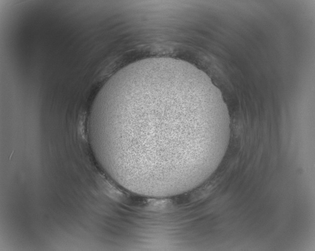 X0000073950185200609111659