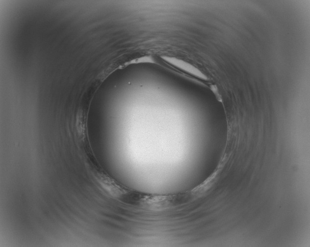 X0000073950186200609111700