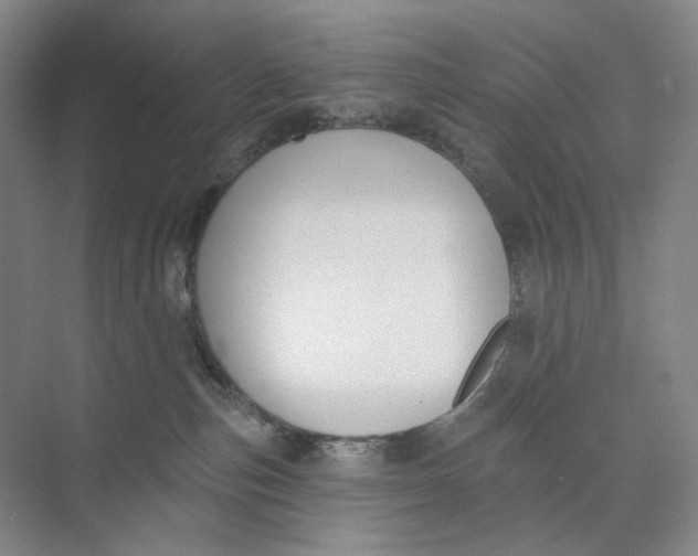 X0000073950187200609111700