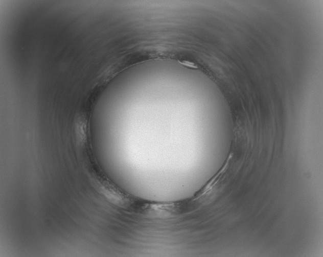 X0000073950188200609111700