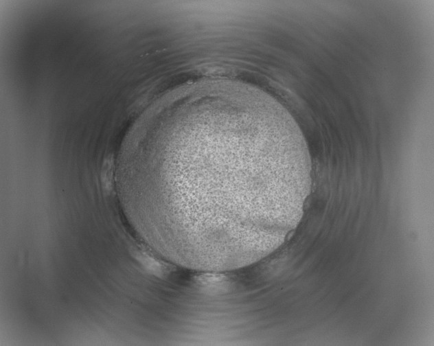 X0000073950189200609111700