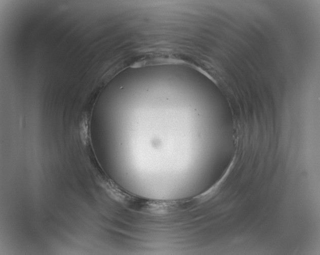 X0000073950190200609111700