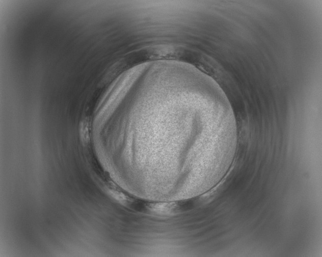 X0000073950191200609111700