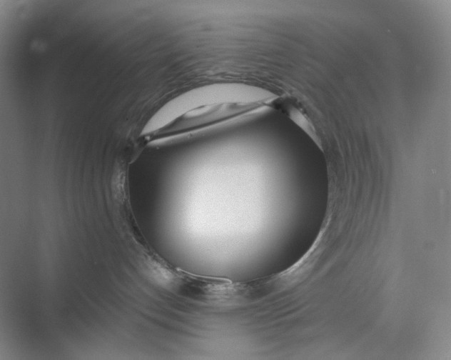 X0000073950192200609111700