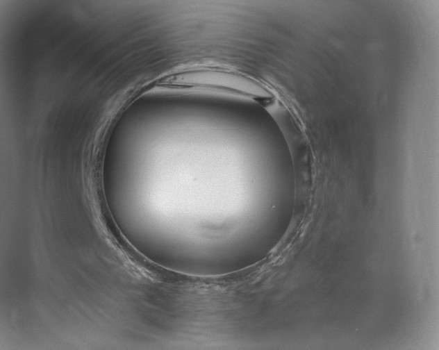 X0000073950193200609111659