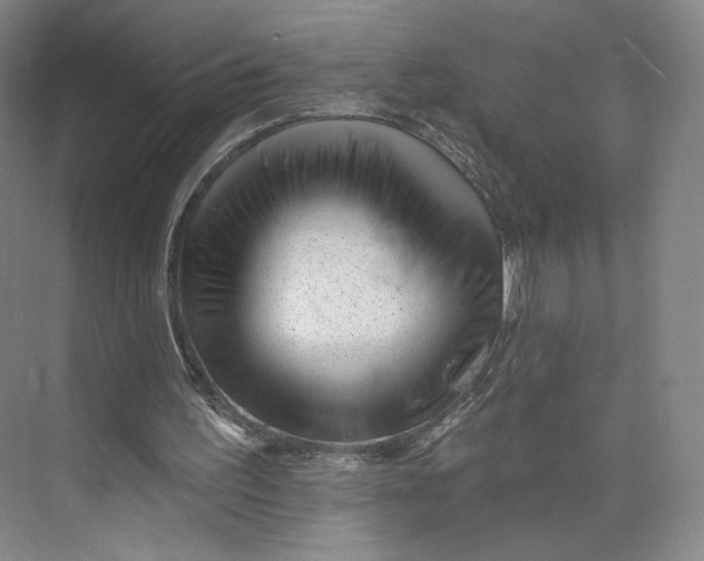 X0000073950195200609111659