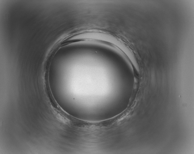 X0000073950197200609111659