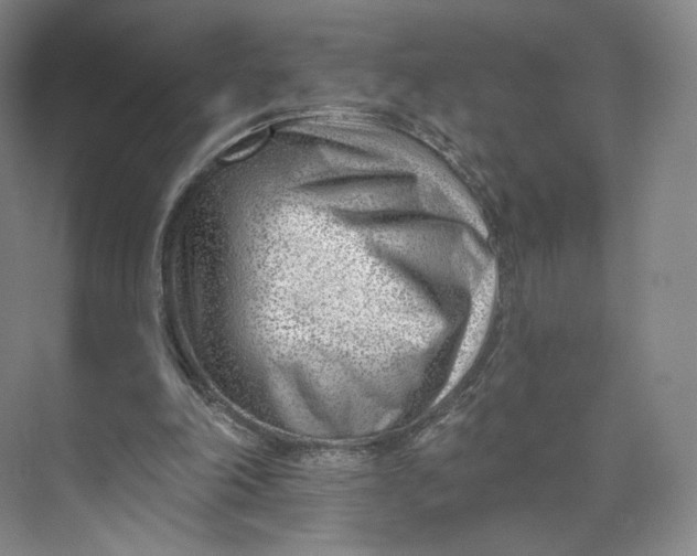 X0000073950198200609111659