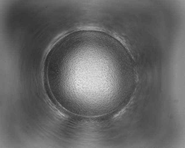 X0000073950199200609111659