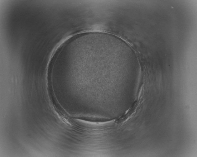 X0000073950200200609111659