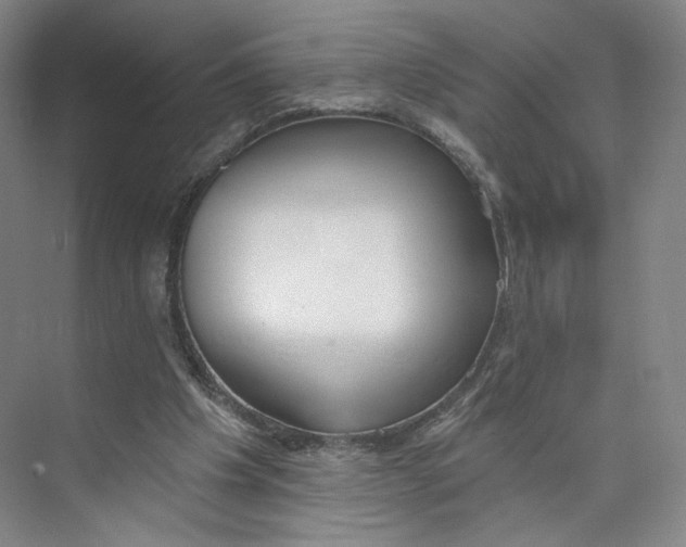 X0000073950201200609111659