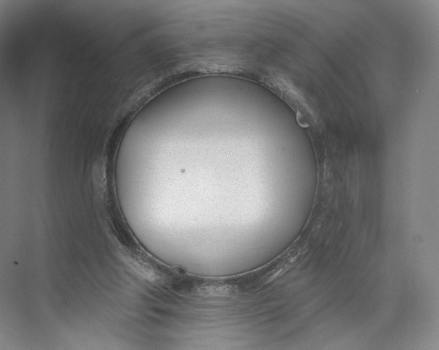 X0000073950202200609111659