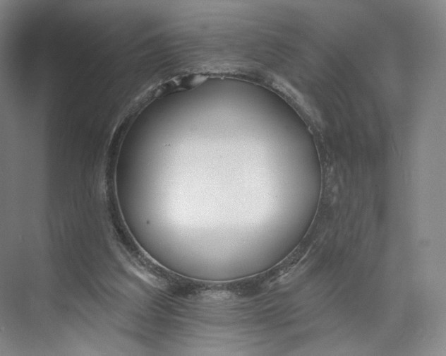 X0000073950203200609111659