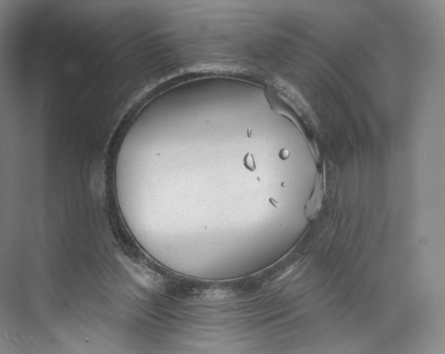 X0000073950204200609111659