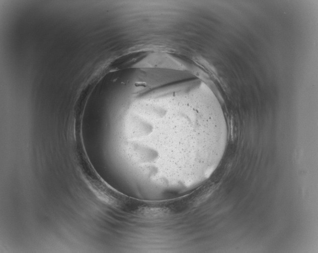 X0000073950205200609111659