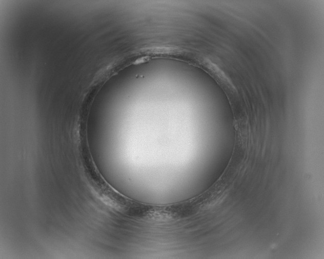 X0000073950207200609111659