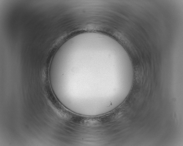 X0000073950208200609111659