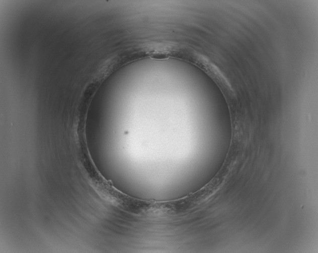 X0000073950209200609111659