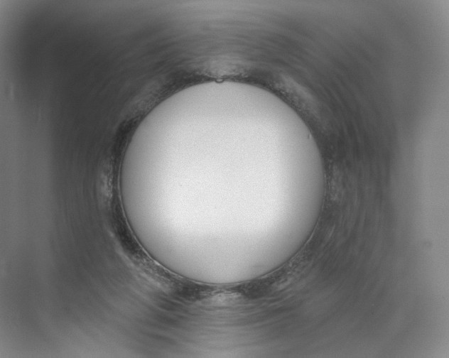 X0000073950210200609111659