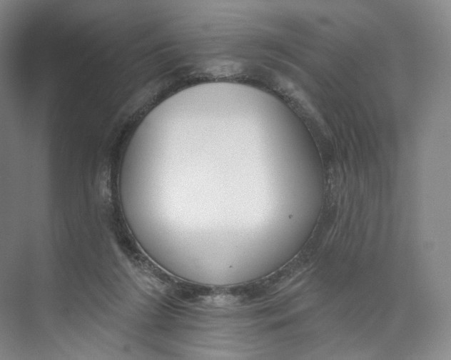 X0000073950212200609111658