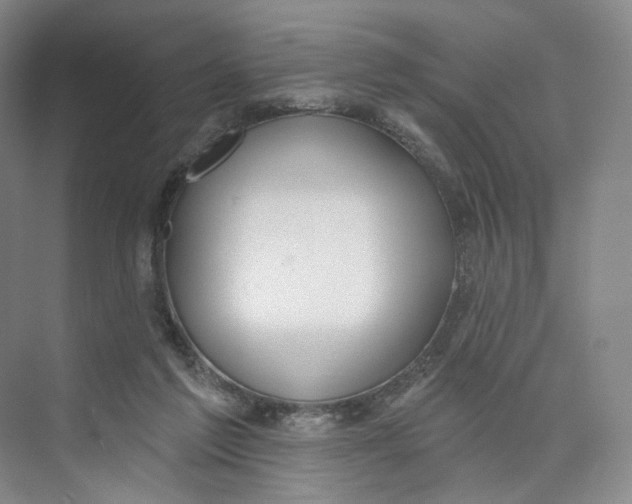 X0000073950213200609111658