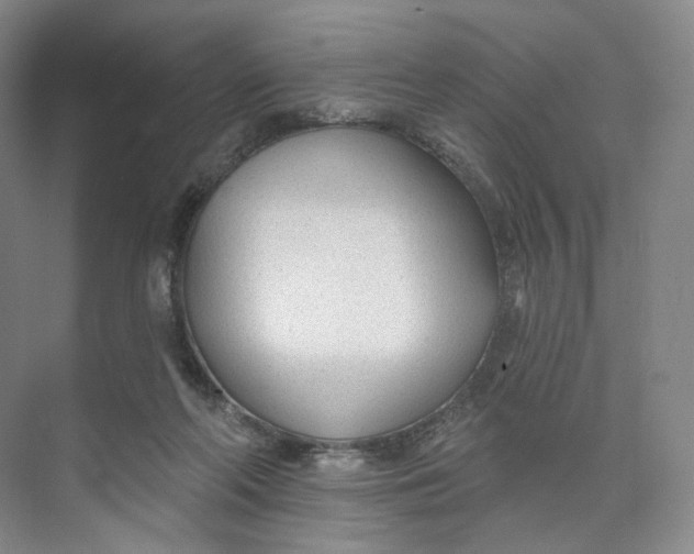 X0000073950214200609111658