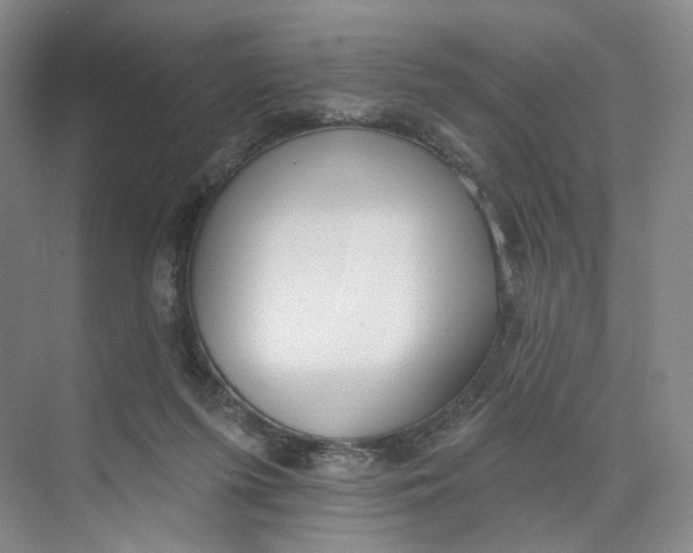 X0000073950215200609111658