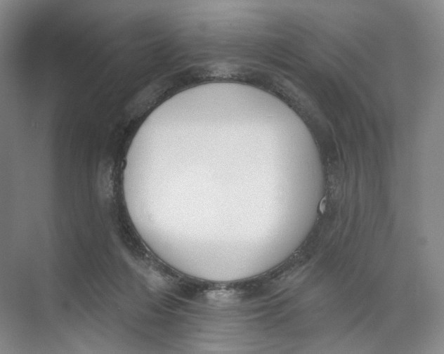 X0000073950216200609111658