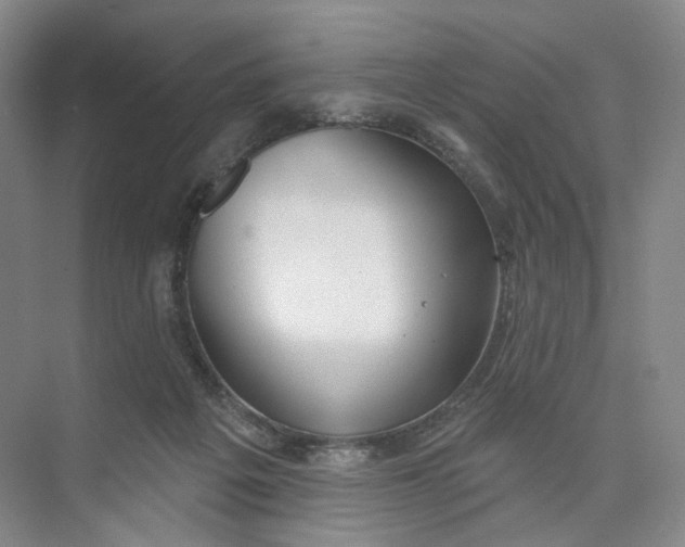 X0000073950217200609111658