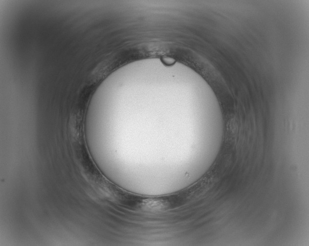 X0000073950218200609111658