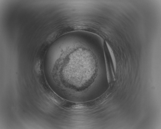 X0000073950219200609111658