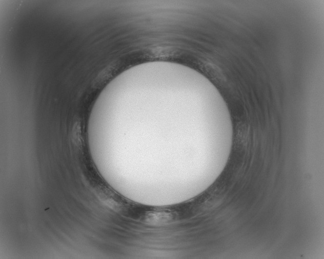 X0000073950220200609111658