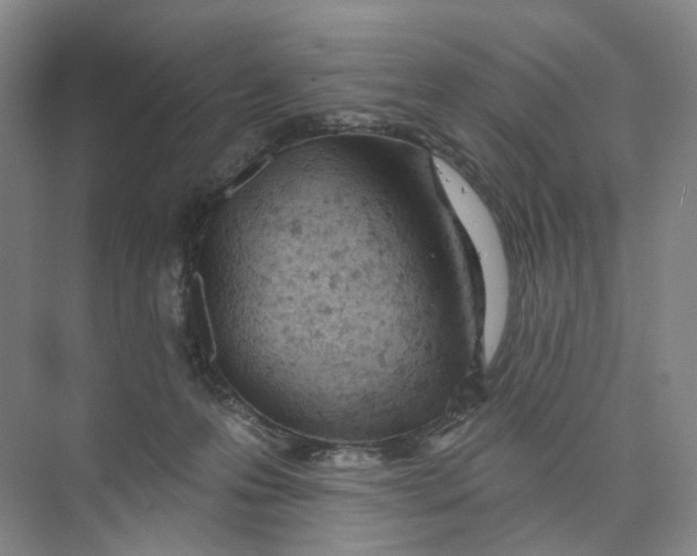 X0000073950223200609111658