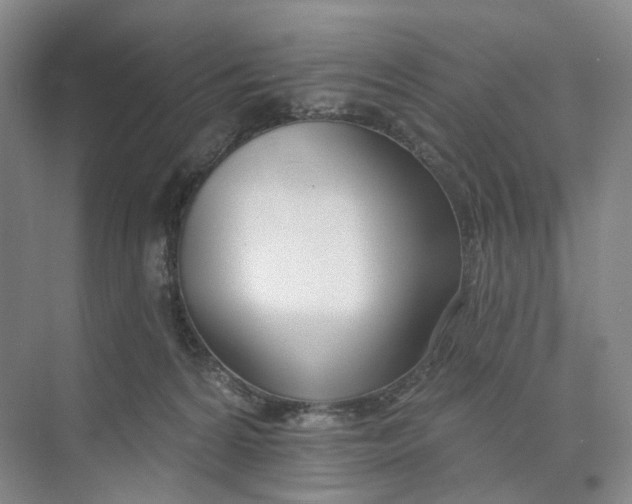 X0000073950224200609111658