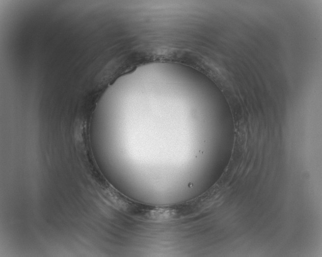 X0000073950225200609111658