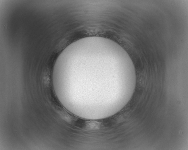 X0000073950226200609111658