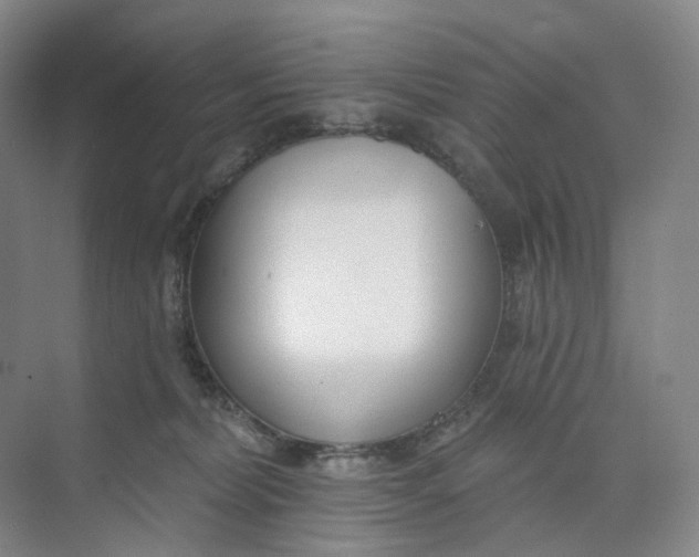 X0000073950228200609111658