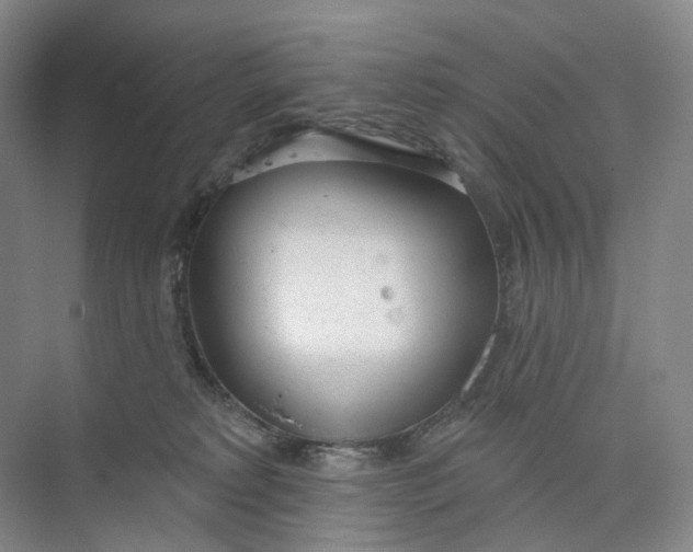 X0000073950229200609111658