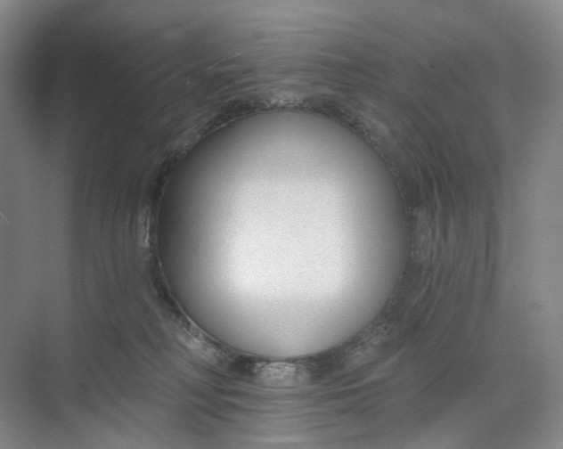 X0000073950230200609111658