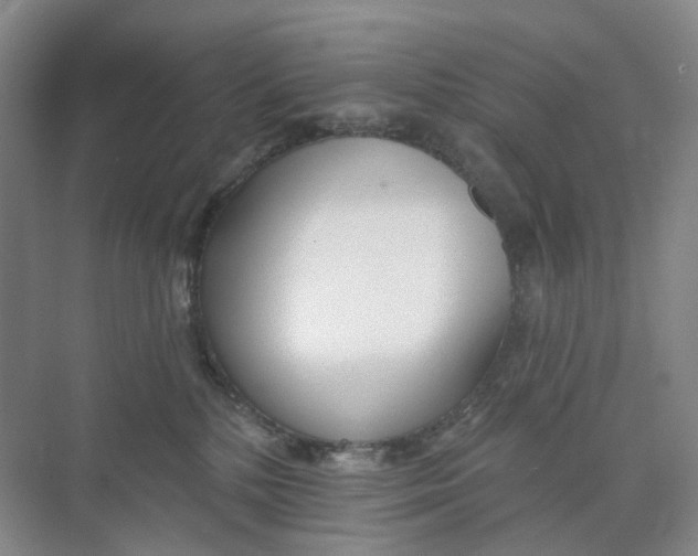 X0000073950232200609111658