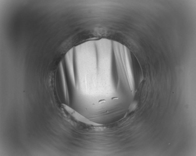 X0000073950233200609111658