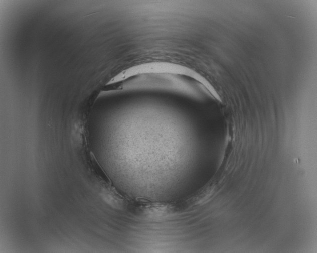 X0000073950235200609111658